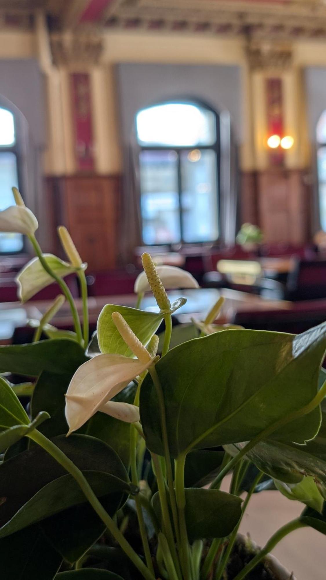 Hotel Harder Minerva Interlaken Ngoại thất bức ảnh